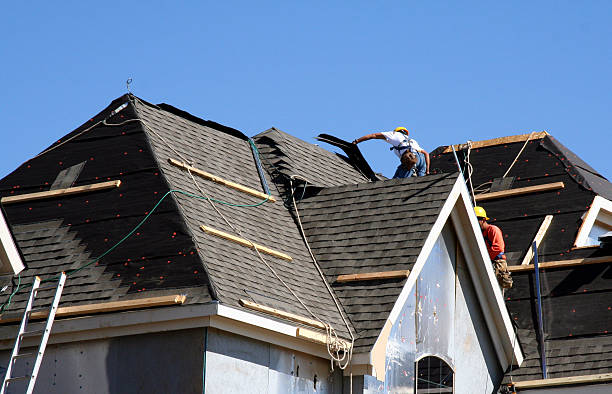 Best Roof Gutter Cleaning  in South Henderson, NC